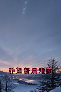 【乔望舒周淮南】主角(周淮南乔望舒傅时修)在线阅读-二筒文学网