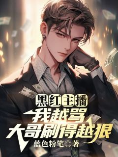 江枫孙晨全本章节在线阅读大结局-二筒文学网