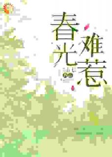 快手再重逢，傲娇总裁直呼他错了！小说全本章节大结局-二筒文学网