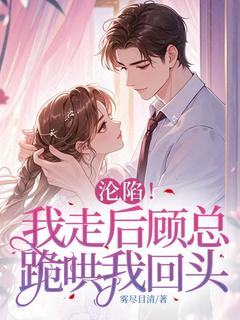 抖音爆款小说沦陷！我走后顾总跪哄我回头沈星澜顾时逸免费txt全文阅读