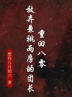 陆雪江民安是哪部小说的主角 陆雪江民安全文阅读