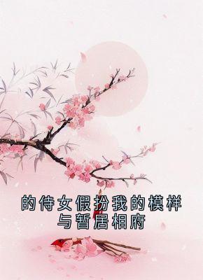 抖音的侍女假扮我的模样与暂居相府by李墨白在线阅读-二筒文学网