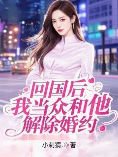 回国后，我当众和他解除婚约全集小说_苏雨陈阳完结版阅读