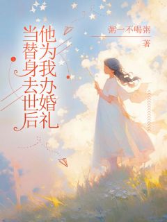 当替身去世后他为我办婚礼全文目录-沈逸沈婉儿林晓小说无弹窗阅读-二筒文学网