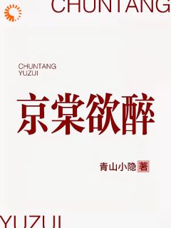 抖音沈京棠陆承钧小说叫什么名字