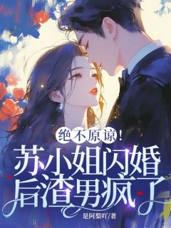 苏梨傅明澈全文最新章节正版小说免费阅读-二筒文学网