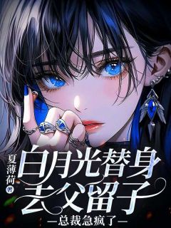 书荒必备苏意江廷臣小说