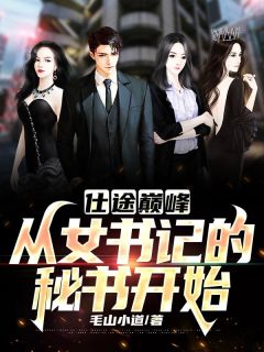 快手热文仕途巅峰：从女书记的秘书开始叶江南秦书月小说推荐