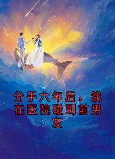 主角许欣冉季辰岳小说完整版-分手六年后，我在医院碰到前男友免费阅读全文-二筒文学网