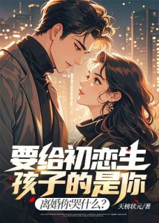 要给初恋生孩子的是你，离婚你哭什么？叶枫苏南枝大结局在线阅读