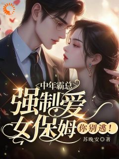 苏晚安的小说34岁的王芸与女儿相依为命主角是王芸傅司砚-二筒文学网