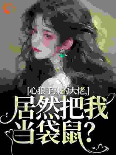 心狠手辣的大佬，居然把我当袋鼠？小说(完结)-阮绵绵封麟无删减阅读-二筒文学网