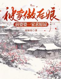 沈星回秦放全本章节在线阅读大结局