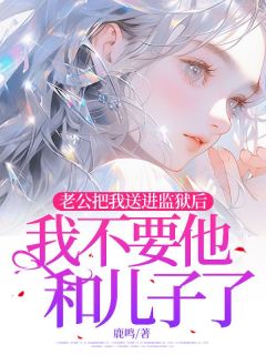 老公把我送进监狱后，我不要他和儿子了小说最新章节-主角叶晚卿陆逸全文免费阅读