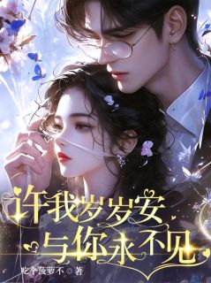 【许我岁岁安，与你永不见】主角(南乔谢景云)在线阅读