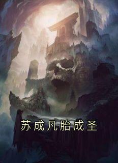 苏成凡胎成圣（全本）苏成苏北川完整章节列表免费阅读