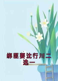 主角林微沈行川秦野的小说作者秦野-二筒文学网