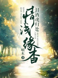 私藏读物情浅缘杳泪洒魂归处秦韵顾承泽完结版免费阅读