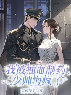 丁玲月叶鹏秋全章节阅读-我被抽血制药，少帅悔疯了全文分享阅读