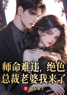 师命难违，绝色总裁老婆我来了章节目录小说-秦皓叶梦绾免费阅读全文