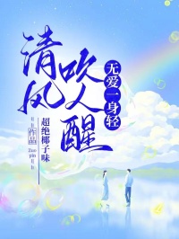 清风吹人醒，无爱一身轻安然丁博明免费全章节目录阅读