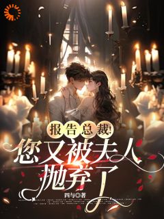 报告总裁！您又被夫人抛弃了（全本）沈繁星陆皓宸完整章节列表免费阅读