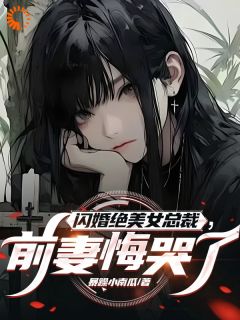 闪婚绝美女总裁，前妻悔哭了by暴躁小南瓜免费阅读小说大结局