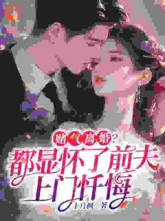 全本资源在线阅读赌气离婚？都显怀了前夫上门忏悔苏以沫顾瑾川