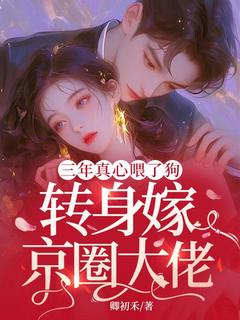 小说三年真心喂了狗，转身嫁京圈大佬主角为许今夏周寻夜免费阅读-二筒文学网