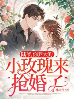 陆爷，你养大的小玫瑰来抢婚了小说-江绵绵陆时晏全篇阅读-二筒文学网
