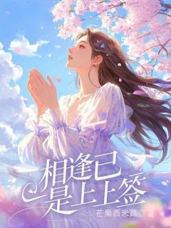 相逢已是上上签知乎小说最新章节阅读-二筒文学网