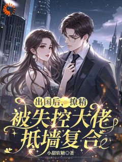 (抖音)她逃他追：傲娇霸总变身追妻狂魔 主角沈星媛陆冷时-二筒文学网