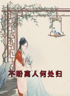 不盼离人何处归免费阅读全文，主角魏云汐贺淮序小说完整版最新章节-二筒文学网