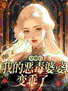 山顶的太阳写的小说穿越后，我的恶毒婆婆变乖了苏晴谢建华全文阅读-二筒文学网