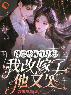 作者竹墨粉黛写的傅总出轨白月光？我改嫁了他又哭小说大结局全章节阅读-二筒文学网