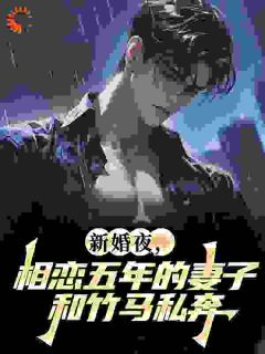 主角是姜婉陈寻的小说-新婚夜，相恋五年的妻子和竹马私奔完整章节阅读-二筒文学网