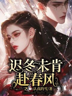 书荒必备迟冬未肯赴春风全文章节阅读-二筒文学网