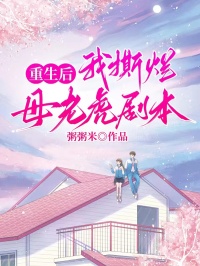 好看的重生后我撕烂母老虎剧本小说，主角成慧沈北见最新章节阅读