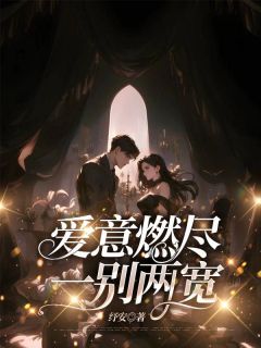 (精品)爱意燃尽，一别两宽小说
