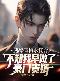 小说逃婚青梅求复合，殊不知我早做了豪门贵婿主角为霍玉林阮栀栀阮宴礼免费阅读-二筒文学网