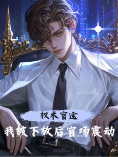 权术官途：我被下放后官场震动（全本）周文峰张妍完整章节列表免费阅读