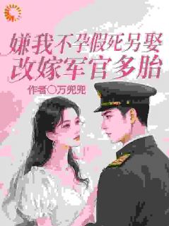 万兜兜写的小说嫌我不孕假死另娶，改嫁军官多胎沈宁雪顾怀远全文阅读-二筒文学网