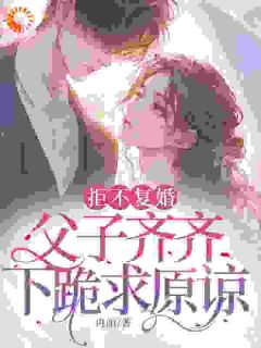 热文拒不复婚，父子齐齐下跪求原谅小说-主角言琪慕霆琛全文在线阅读