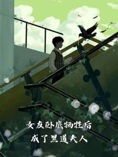 女友做卧底牺牲了宋箐【全章节】闻书珩宋箐完结版免费阅读