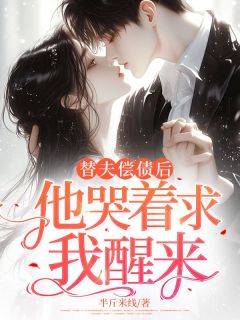 无弹窗小说替夫偿债后他哭着求我醒来 作者半斤米线