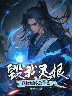 小说推荐毁我灵根，我修魔你急什么？完结版全章节阅读