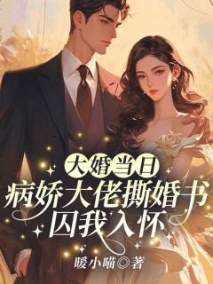 大婚当日，病娇大佬撕婚书囚我入怀无广告阅读 孟晚澄沈听澜免费在线阅读
