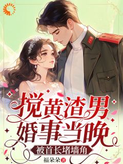 爆款小说搅黄渣男婚事当晚，被首长堵墙角在线阅读-秦曼谈铮免费阅读-二筒文学网