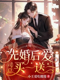 抖音小说先婚后爱，司总买一送一主角林安安司珑夜全文小说免费阅读