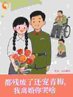 良辰暖日写的小说都残废了还宠青梅，我离婚你哭啥在线阅读